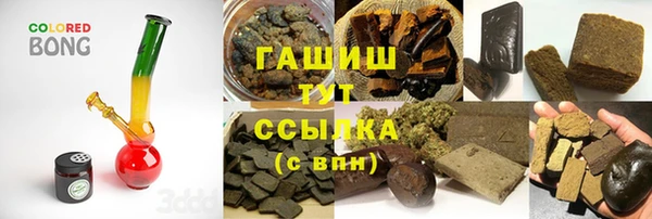 гидра Новодвинск