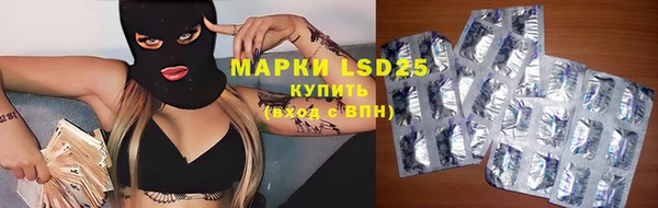 дживик Новозыбков