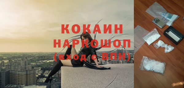 гидра Новодвинск