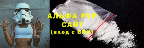 дживик Новозыбков