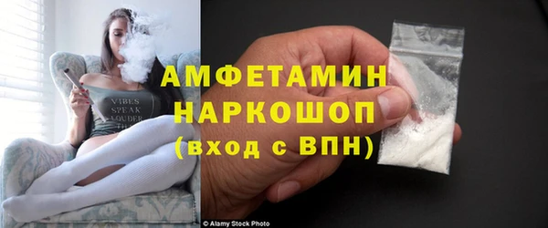 гидра Новодвинск
