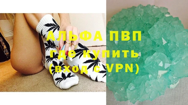 дживик Новозыбков