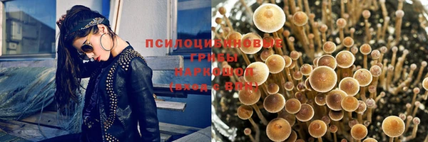 гидра Новодвинск