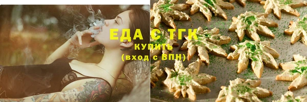 гашик Удомля