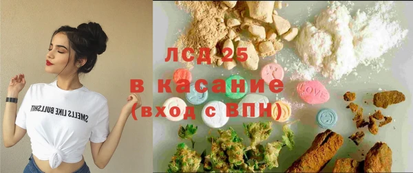 гидра Новодвинск