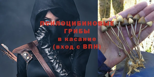дживик Новозыбков