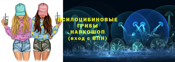 альфа пвп Новокубанск