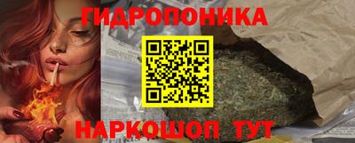 стафф Гусев