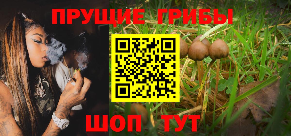 Красноярск  Псилоцибиновые грибы MAGIC MUSHROOMS  Вход с VPN 